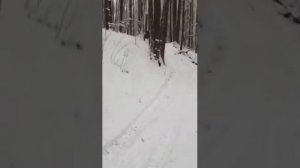 Погоня  Ясеневских ДПС за квадроциклами.