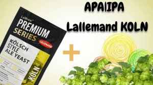 Дрожжи Lallemand KOLN(Кельш).Универсальные?Подходят для Ipa или Apa?