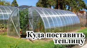 Куда поставить теплицу