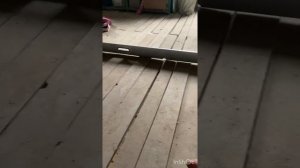 Ламинат или плитку на деревянный пол монтаж