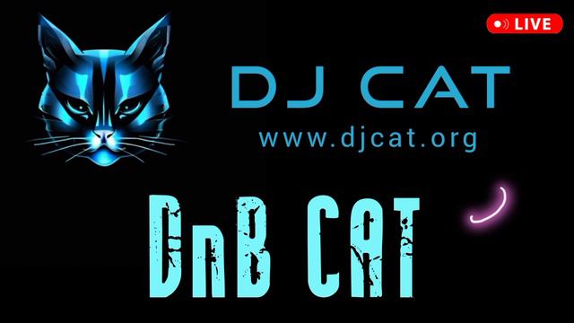 Драм-энд-бейс сеты миксы ремиксы диджеев 2024 2025 - DRUM-AND-BASS CAT REMIX - DJ CAT - летние хиты