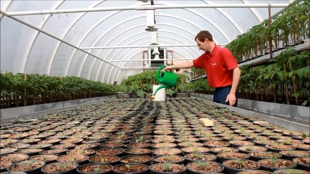 Режим досветки , первый полив . № 3 смотреть онлайн