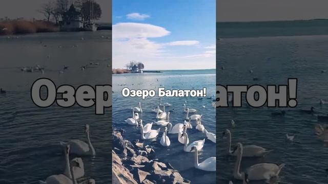 Озеро самое большое в Мире Балатон!