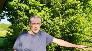 Бабочки семейства Психиды или Мешочницы