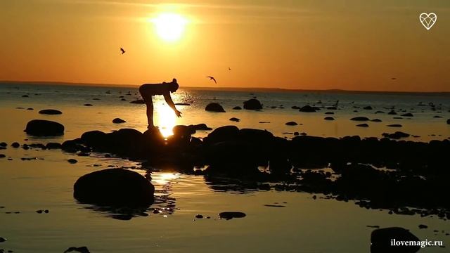 Midsummer night's dream _ Сон в летнюю ночь смотреть онлайн