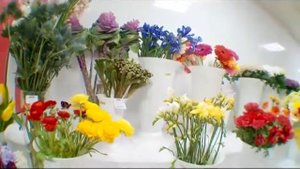 СТУДИЯ ЦВЕТОВ shop NEW