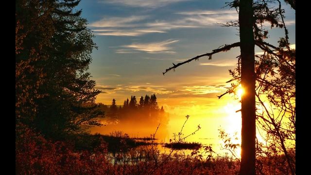 Поэтическая минутка. Лев Ошанин смотреть онлайн