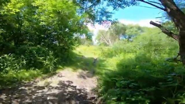 60 км/ч по лесу на электро фэтбайке 3000w. Адреналин на велике смотреть онлайн
