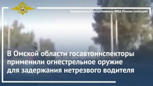 В Омской области госавтоинспекторы применили огнестрельное оружие для задержания нетрезвого водителя