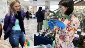 Фестиваль Цветов для Души.Омоложение куста стрептокарпуса. Коллекционер Марина Петрова. 28.09.2019.