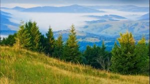 ❤"Чарующий амбар". Христианские рассказы. Истории из жизни.