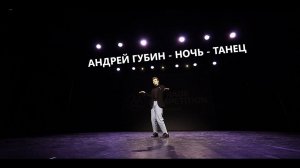 АНДРЕЙ ГУБИН - НОЧЬ - ТАНЕЦ