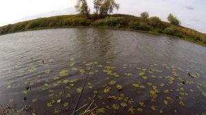 Ловим рыбу и жарим на костре.