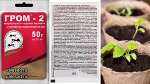 ВСЕГО 2 ГРАММА ЭТОГО ПРЕПАРАТА и МОШКИ в РАССАДЕ и КОМНАТНЫХ ЦВЕТАХ ИСЧЕЗНУТ! Средство от мошек