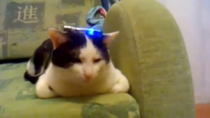 415 база, ответьте