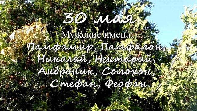 30 мая – именины сегодня отмечают смотреть онлайн