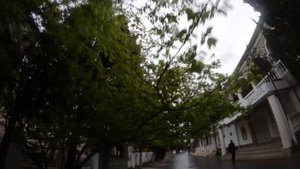 КИПАРИСОВАЯ АЛЛЕЯ В СУДАКЕ