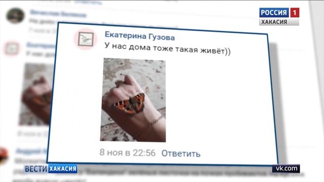 Бабочки в ноябре смотреть онлайн