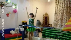 дрессированный енот на праздник