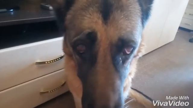 ПОМЕНЯЛИСЬ ТЕЛАМИ!!😱😮 Я стала Мартой, а Марта стала мной!!! 😮😮 смотреть онлайн