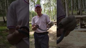 ✅РУЧНОЙ Уж)