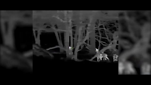 Тепловизоры Hikvision смотреть онлайн