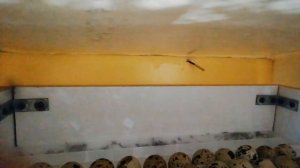 Обзор самодельного инкубатора