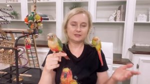 ПРОБЛЕМА С ЧЕРПИ | КАК НАУЧИТЬ ПОПУГАЯ ХОДИТЬ В ТУАЛЕТ В ОДНО И ТО ЖЕ МЕСТО