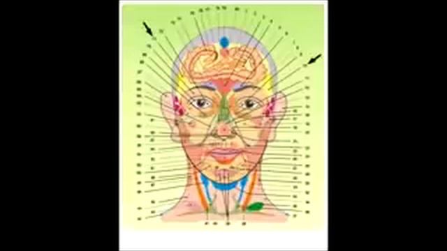 АЗБУКА ВИСЦЕРАЛЬНОЙ ТЕРАПИИ Огулов АТ 2009 Часть 3