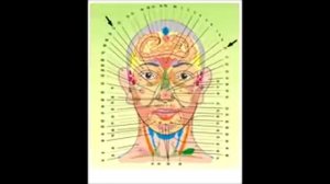 АЗБУКА ВИСЦЕРАЛЬНОЙ ТЕРАПИИ Огулов АТ 2009 Часть 3