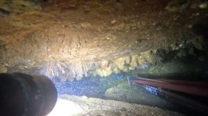 0:02 / 1:04


Долго выцеливал Темного окуня