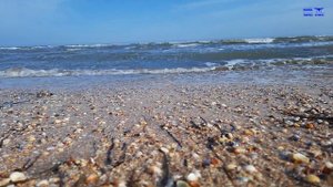 7 удивительных фактов об Азовском море!