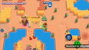 Какашки Какашки