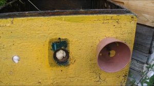 формирование отводков пчел - весной, летом и осенью - часть 1 ( начало )