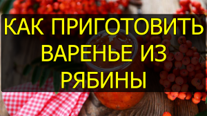 Как приготовить варенье из красной рябины. Рецепт рябинового варенья (варенья из рябины)