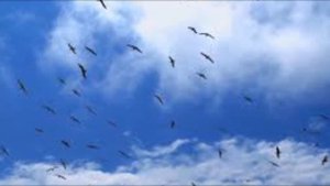 «Тучи в голубом»