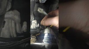 Скрипит тормозной суппорт MercedesW211/2003/2.7CDI. Как менять рем-кт суппорта? Там же SBC?