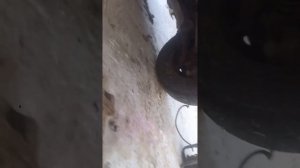 Фиат Дукато установка подогревателя Спутник. 220 в