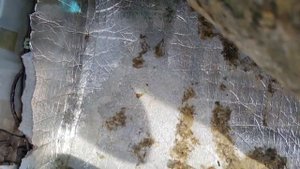 Коврики EVA для салона и багажника Мазда Демио DW3W рест.