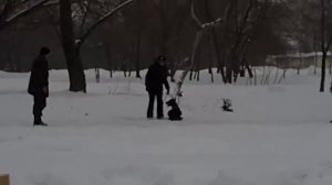 охрана доберман.AVI