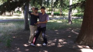 Применение 4-й формы Динши-бачжан стиля Лян - выход в позицию "Копьё". Вариант