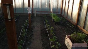 Печь длительного горения в теплице, "бубафоня"!!!!