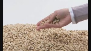 Froling о пеллетах