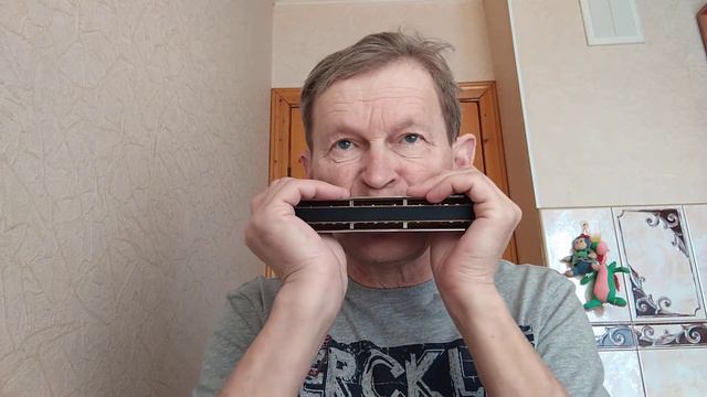 One Day (Gary Moore cover) - Denisov - Chromatic Harmonica By M. Hohner смотреть онлайн