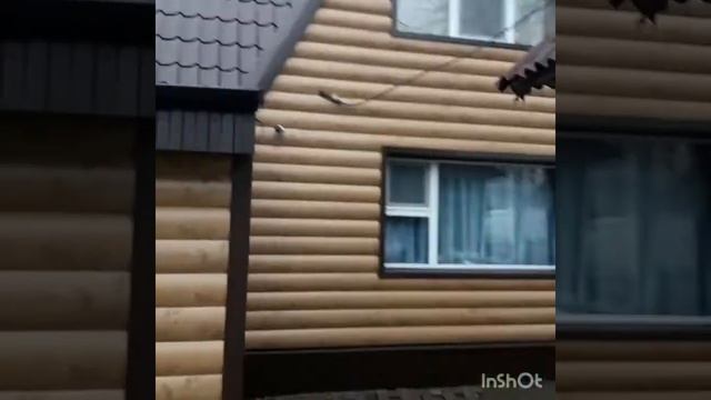 Сайдинг под бревно смотреть онлайн