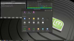 Linux Mint 19.1 Tessa