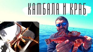 Ведра камбалы и краба. Кайфуем на рыбалке.