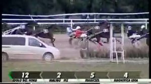 28/11/2012, Firenze , Premio Acero C.naz.