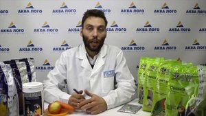 Витамины и минералы. Чем кормить попугая?