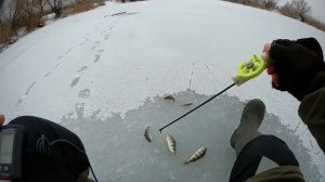 Ловля  на зимнюю блесну Маропедка.